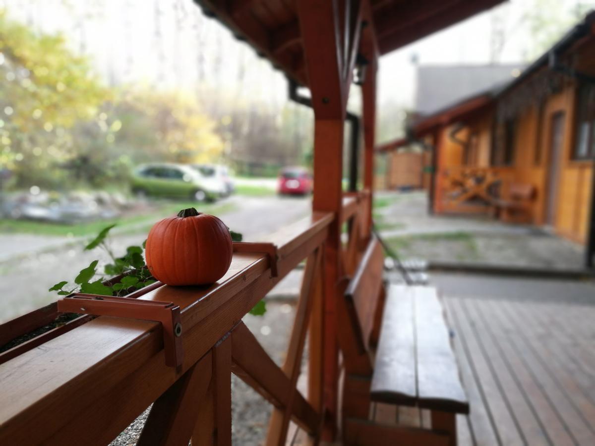 Przywisle Hotel Устрон Екстериор снимка
